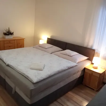 Ubytovanie Sklene Teplice Apartment *
